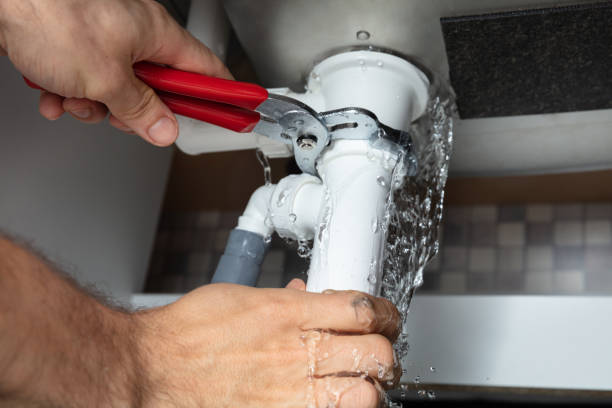 Best Water damage restoration mold remediation  in Kitty Hawk, NC