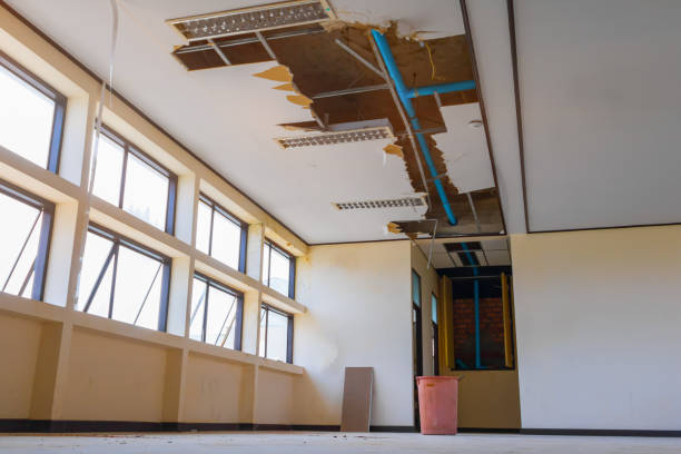 Best Water damage contractors near me  in Kitty Hawk, NC