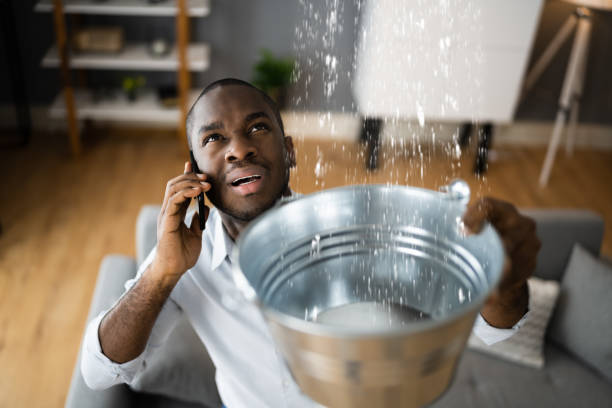 Best 24/7 water damage repair  in Kitty Hawk, NC