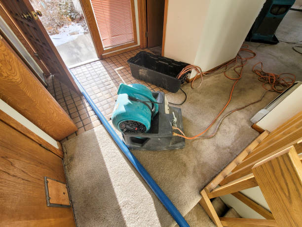 Best Water damage restoration near me  in Kitty Hawk, NC