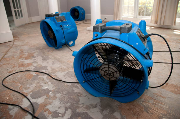 Best Mold removal after water damage  in Kitty Hawk, NC