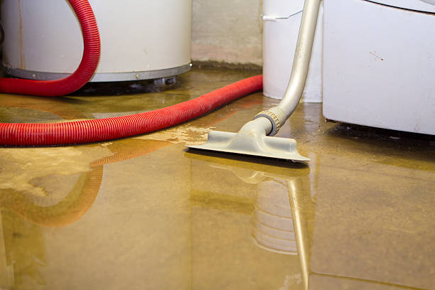 Best Basement water damage restoration  in Kitty Hawk, NC